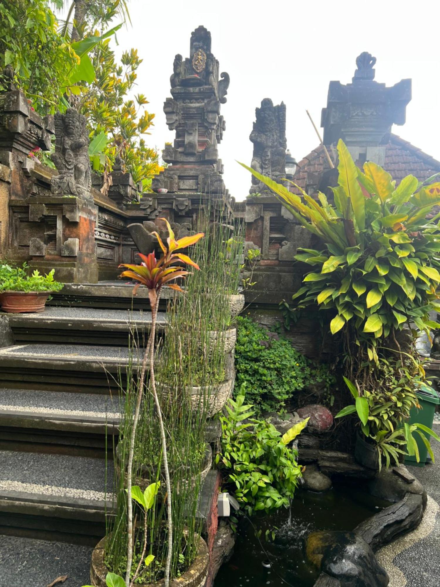 Rumah Kelinci Ubud Exterior foto