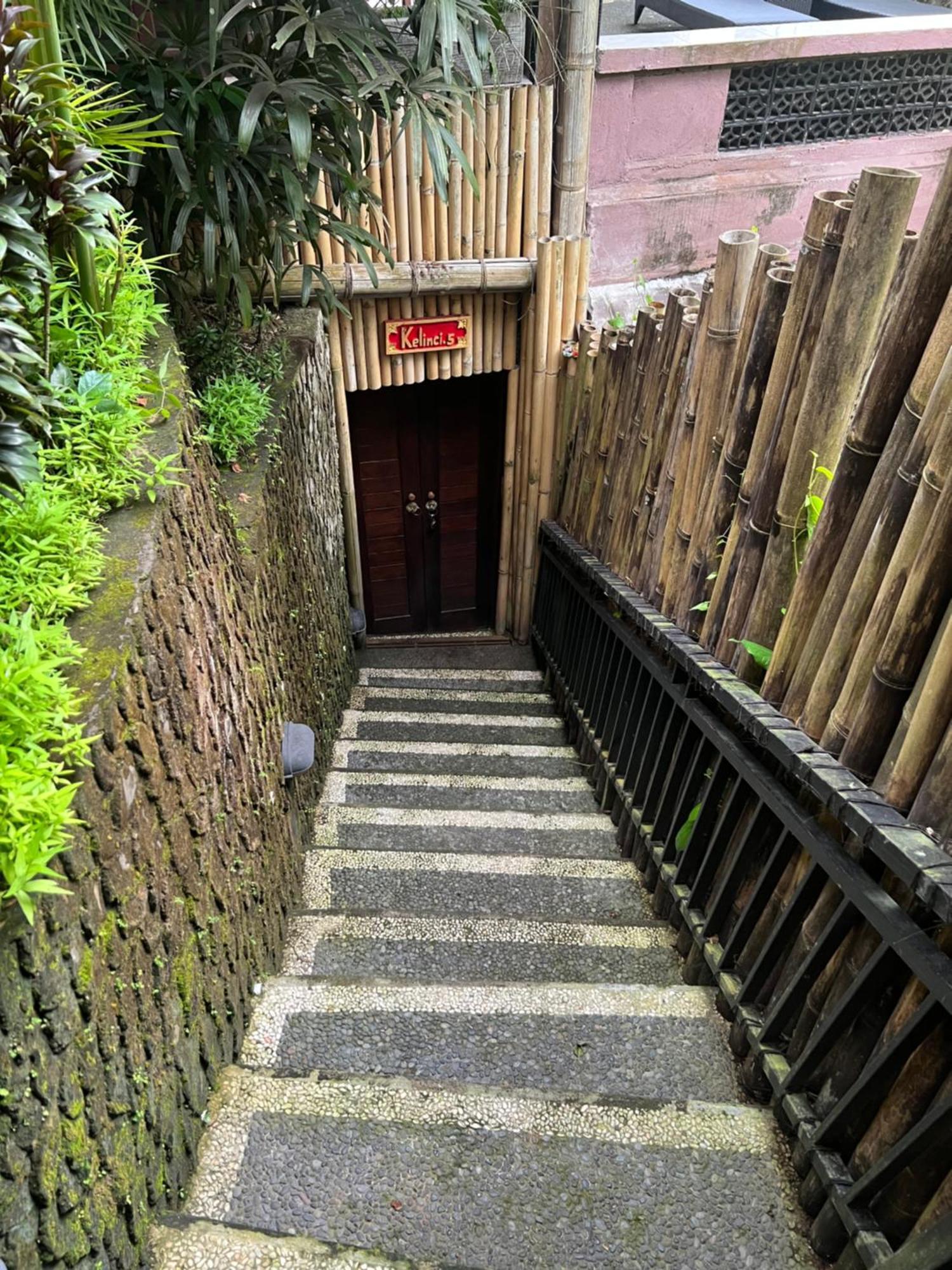 Rumah Kelinci Ubud Exterior foto
