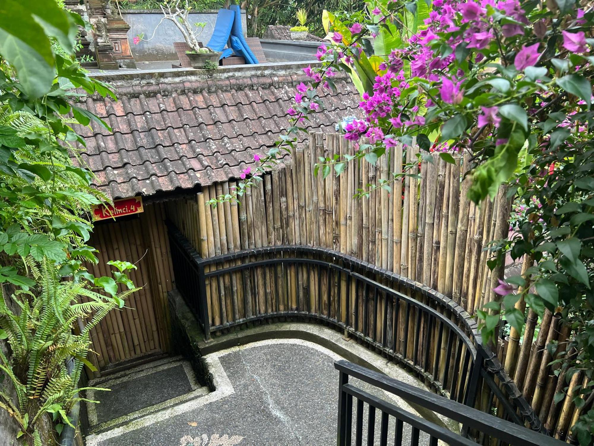 Rumah Kelinci Ubud Exterior foto